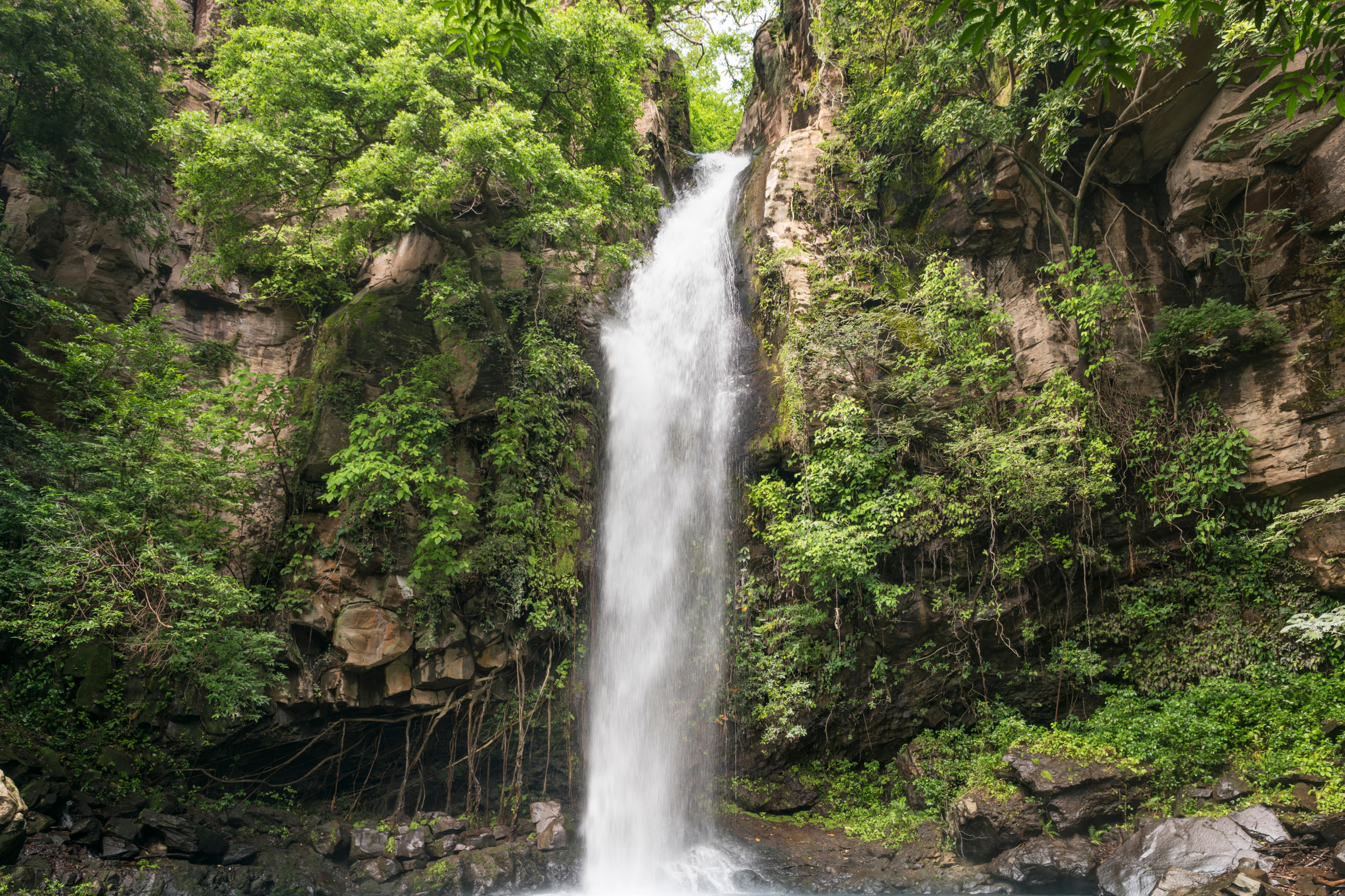 parque nacional rincón de la vieja 01.webp
